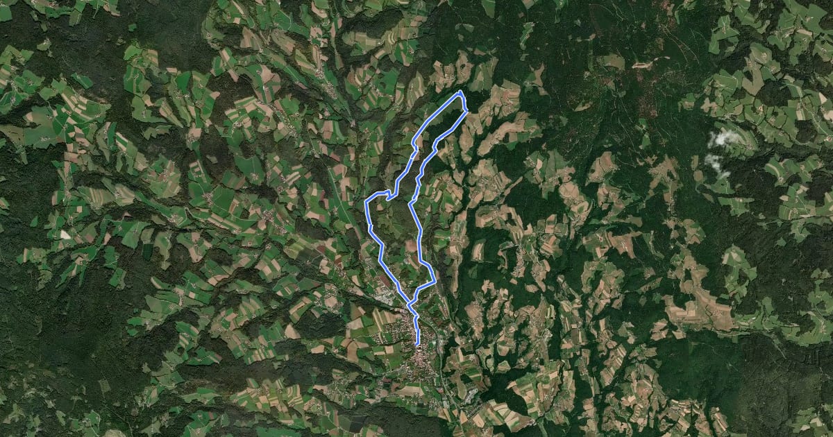 Маршрут Wanderweg 5 на спутниковом снимке