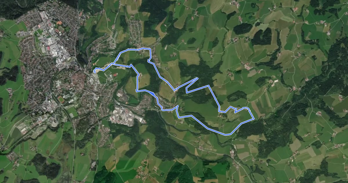 Маршрут Wanderweg 5 Wangen im Allgäu на спутниковом снимке