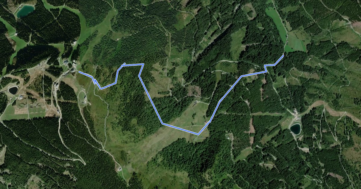 Маршрут Wanderweg 51 на спутниковом снимке