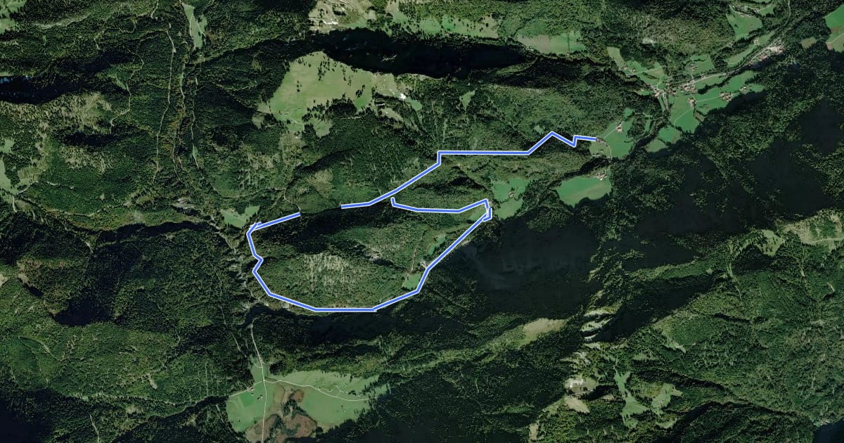 Маршрут Wanderweg 52 - Rundweg Gründberg на спутниковом снимке