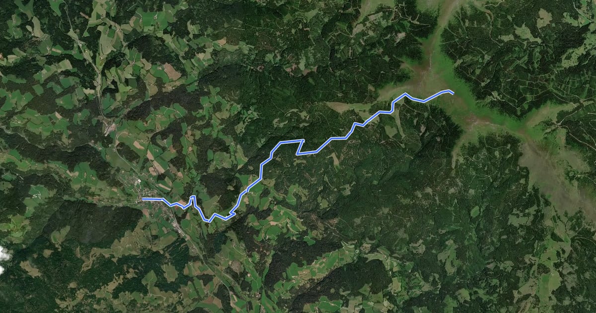 Маршрут Wanderweg 539 на спутниковом снимке