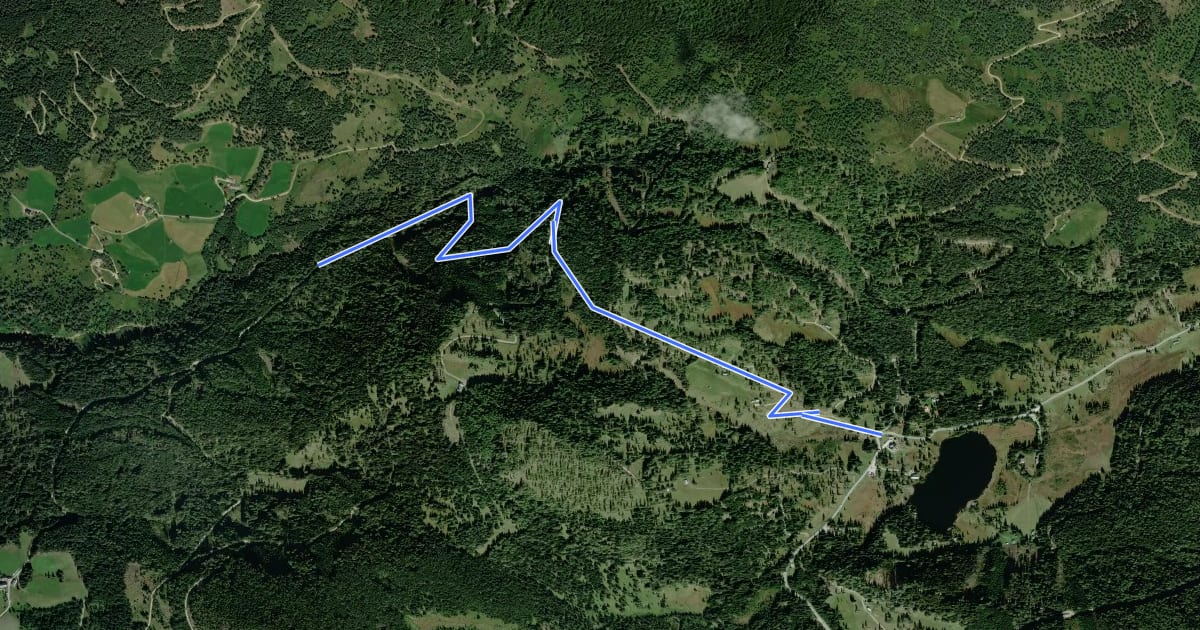 Маршрут Wanderweg 54 на спутниковом снимке