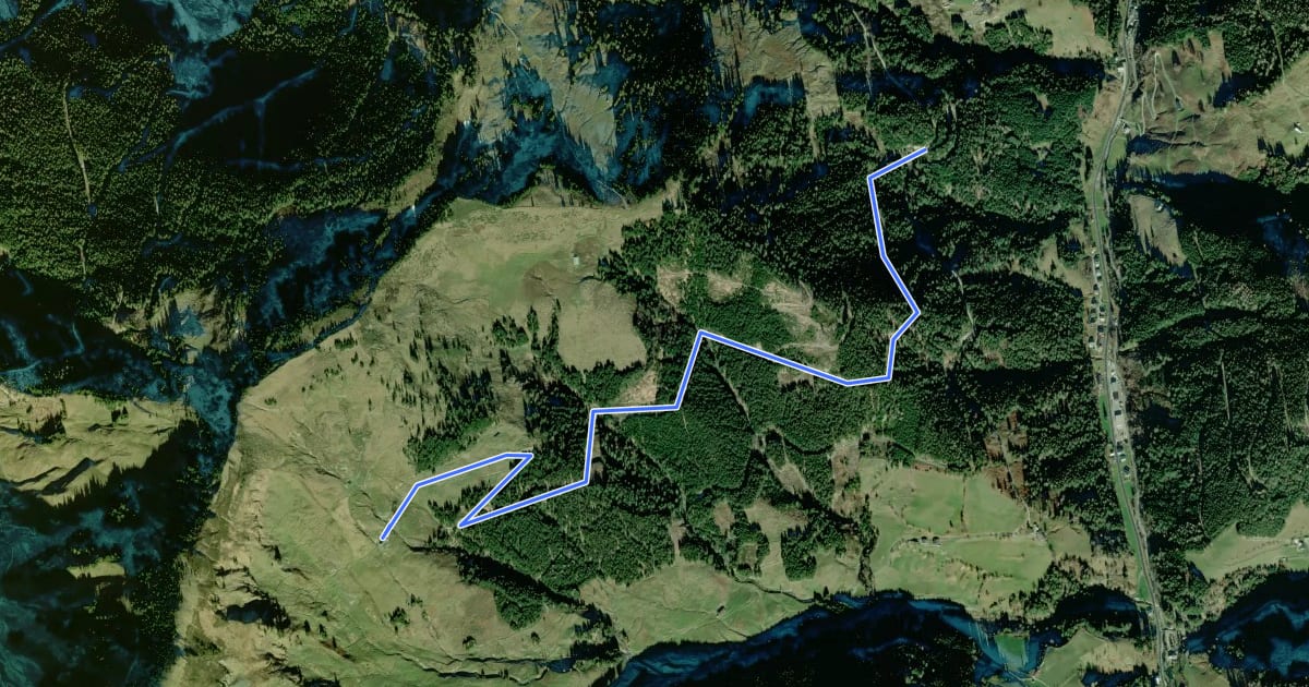 Маршрут Wanderweg 54 на спутниковом снимке