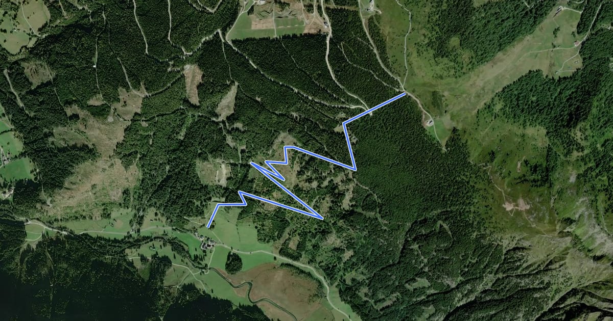Маршрут Wanderweg 54 на спутниковом снимке