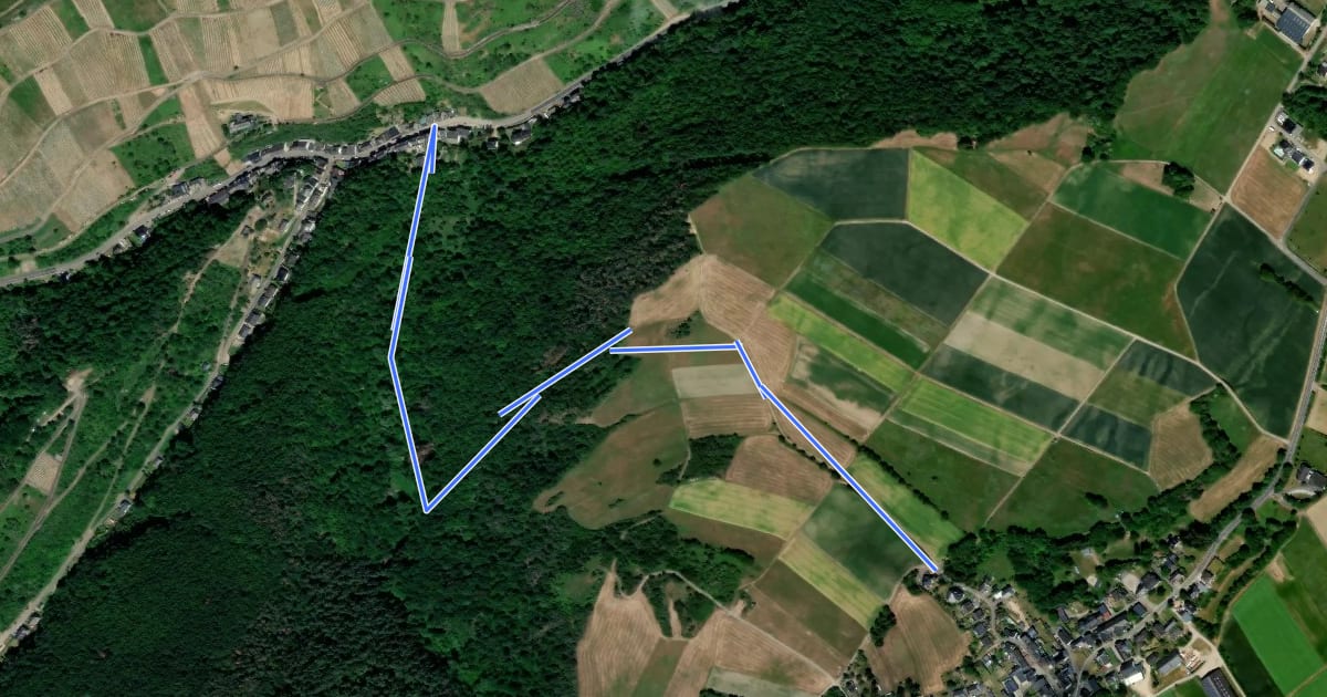 Маршрут Wanderweg 54: Dellhofen-Enghoell на спутниковом снимке