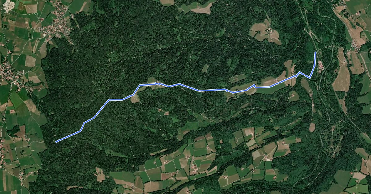 Маршрут Wanderweg 541 на спутниковом снимке