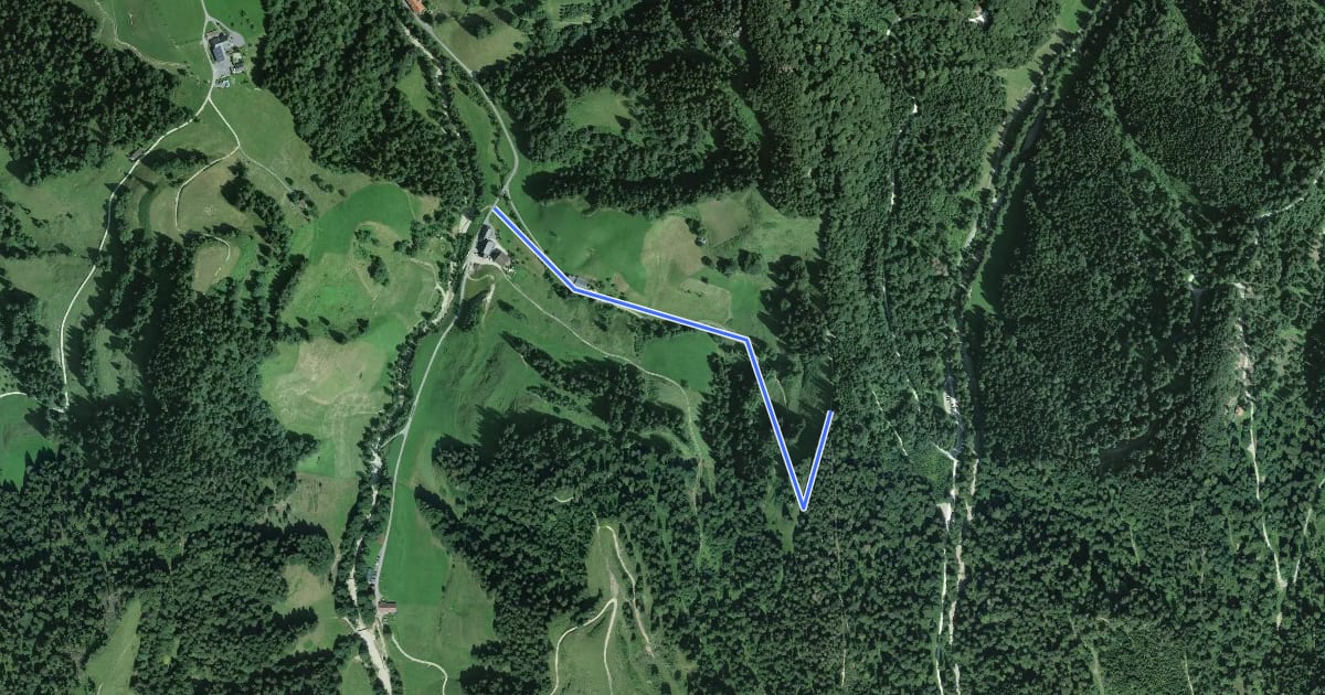 Маршрут Wanderweg на спутниковом снимке