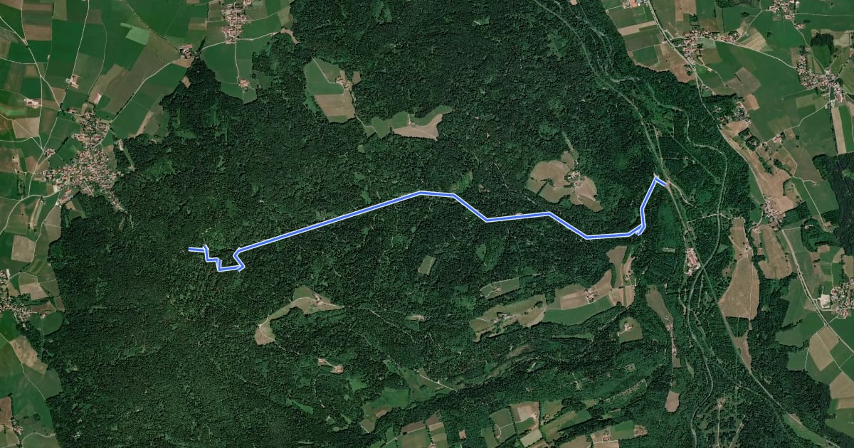 Маршрут Wanderweg 544 на спутниковом снимке