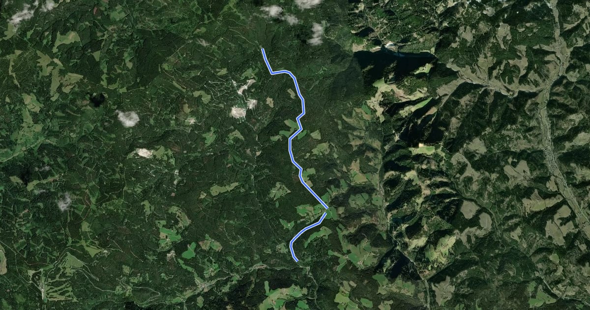 Маршрут Wanderweg 544 на спутниковом снимке