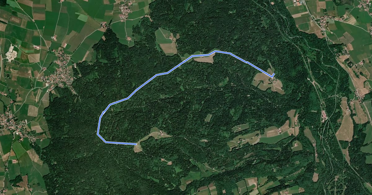Маршрут Wanderweg 545 на спутниковом снимке