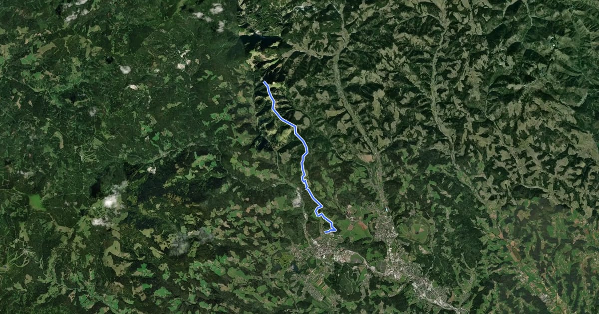 Маршрут Wanderweg 545, Turnersteig на спутниковом снимке