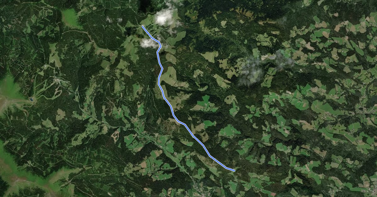 Маршрут Wanderweg 549 на спутниковом снимке