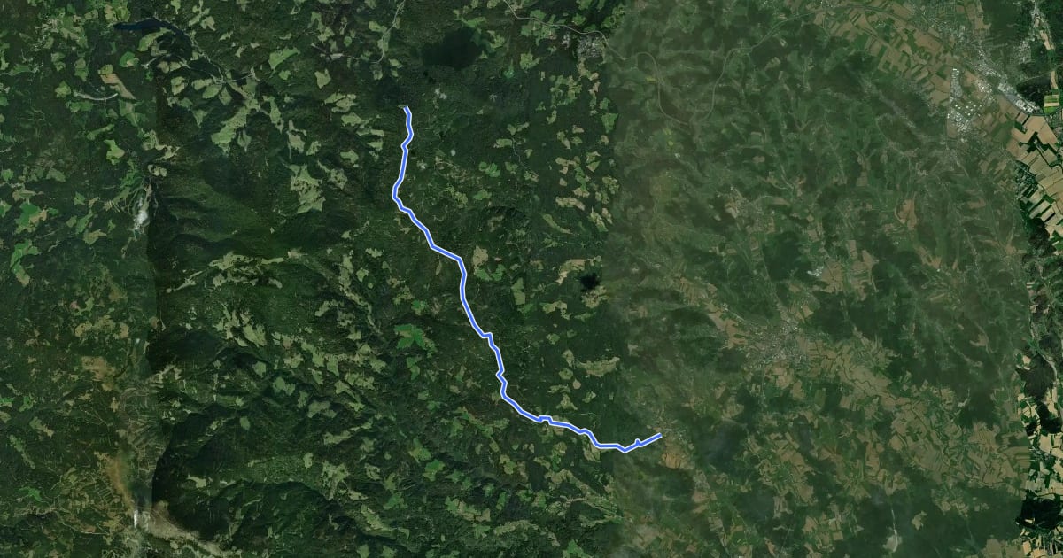 Маршрут Wanderweg 555 на спутниковом снимке