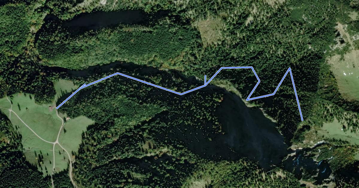 Маршрут Wanderweg 56 - Ruhpolding на спутниковом снимке