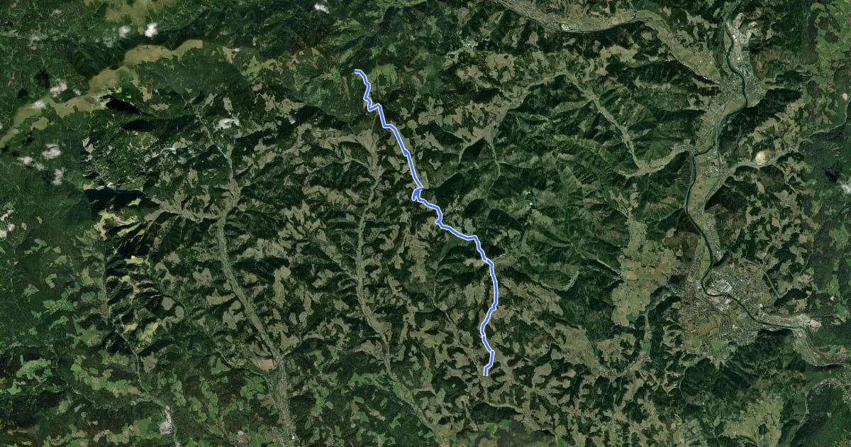 Маршрут Wanderweg 561 на спутниковом снимке