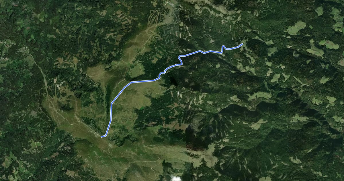 Маршрут Wanderweg 579 на спутниковом снимке