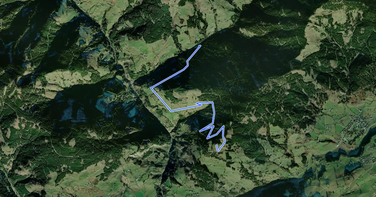 Маршрут Wanderweg 58 на спутниковом снимке