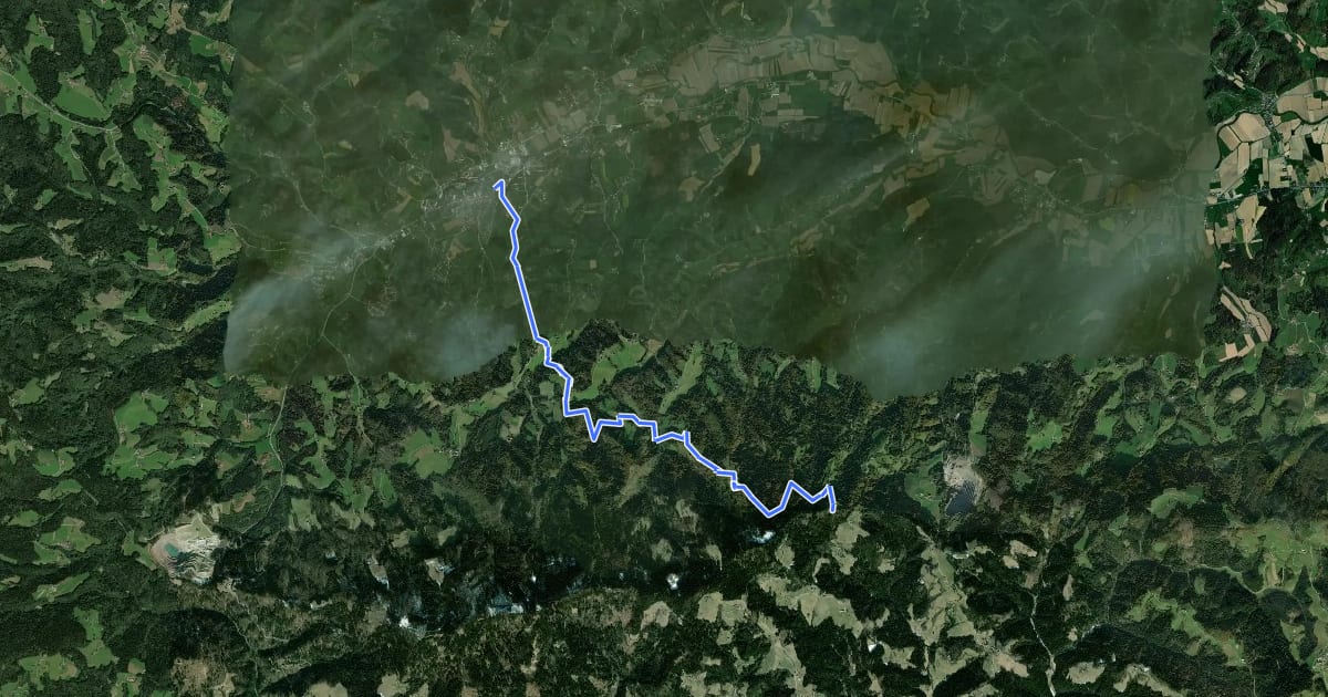 Маршрут Wanderweg 592 на спутниковом снимке