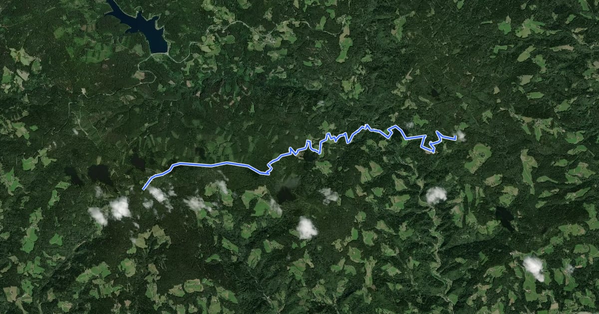 Маршрут Wanderweg 594 на спутниковом снимке