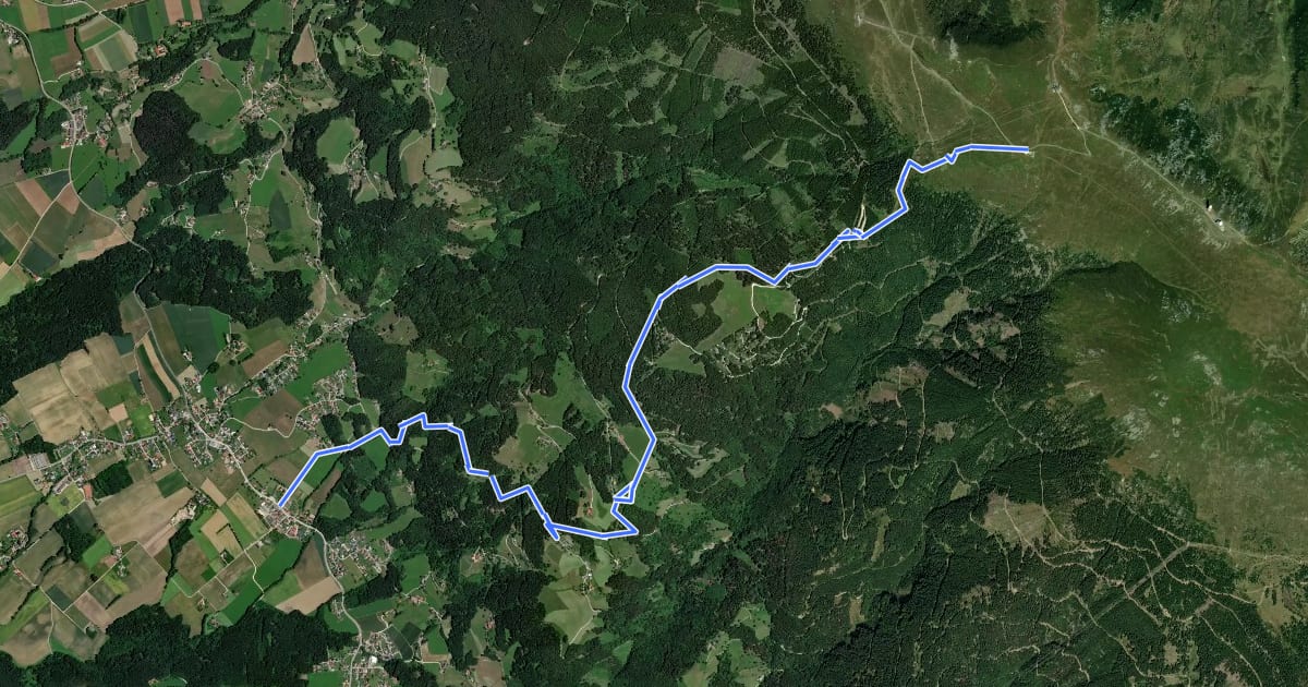 Маршрут Wanderweg 595 на спутниковом снимке