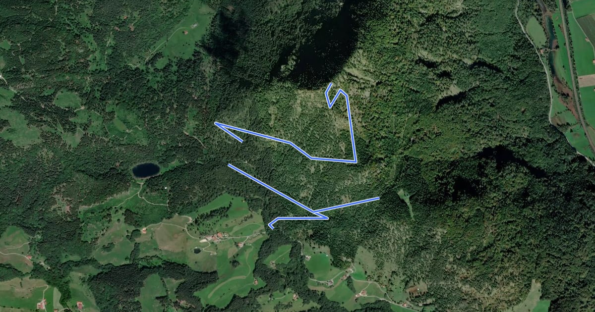 Маршрут Wanderweg 5b - Oberaudorf на спутниковом снимке
