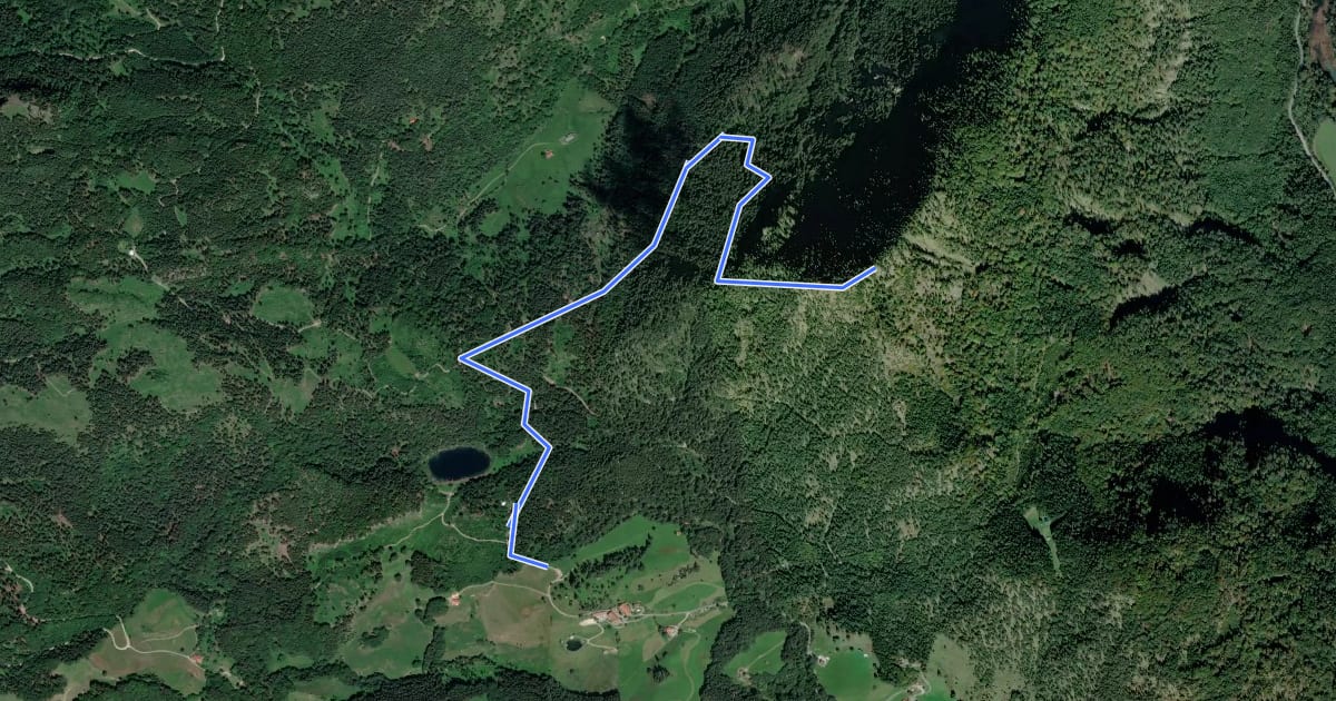 Маршрут Wanderweg 5c - Oberaudorf на спутниковом снимке