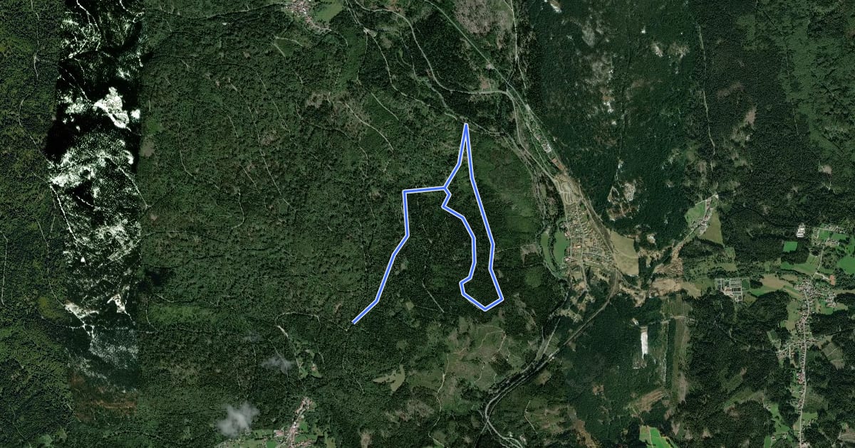 Маршрут Wanderweg 6 на спутниковом снимке