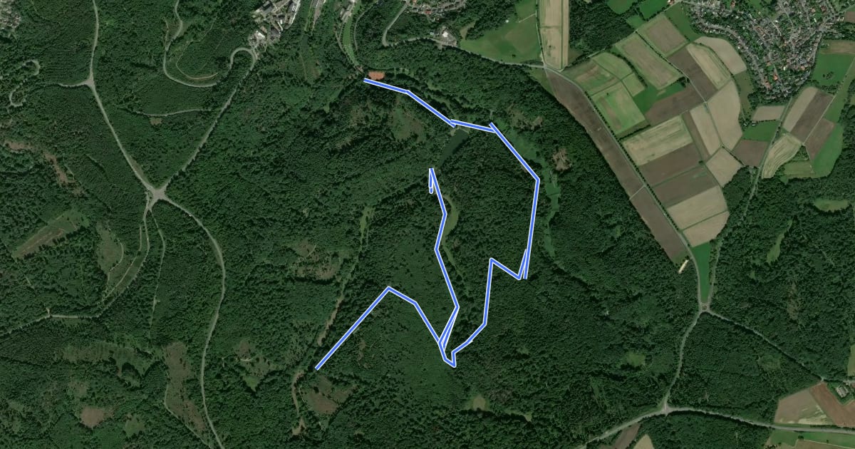Маршрут Wanderweg 6 на спутниковом снимке