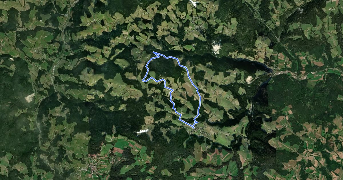 Маршрут Wanderweg 6 на спутниковом снимке