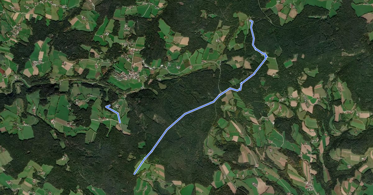 Маршрут Wanderweg 6 на спутниковом снимке