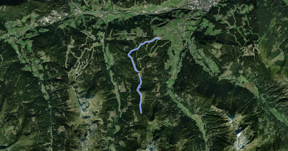 Маршрут Wanderweg 60 на спутниковом снимке