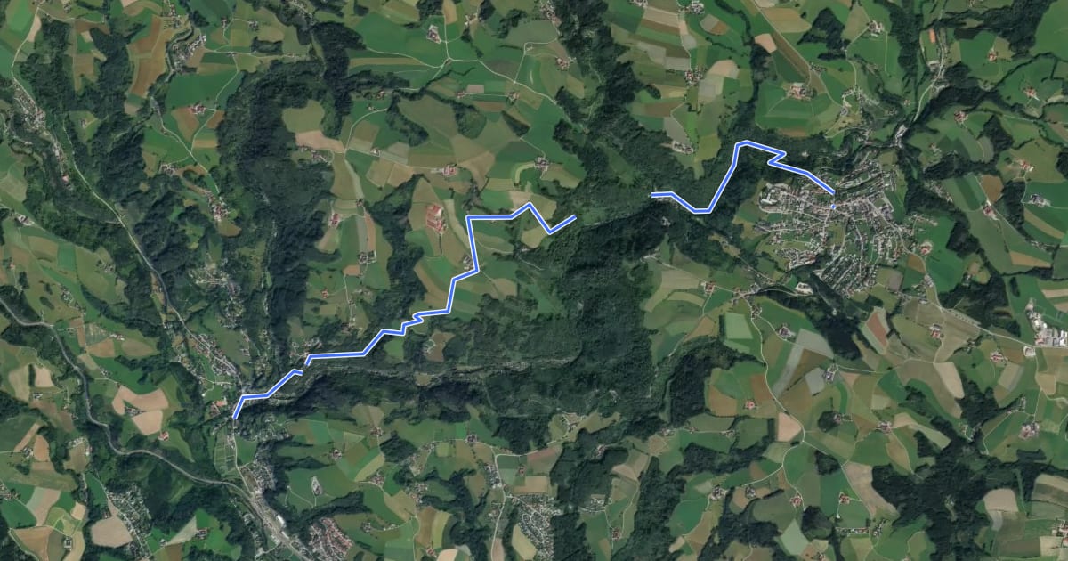 Маршрут Wanderweg 60 на спутниковом снимке