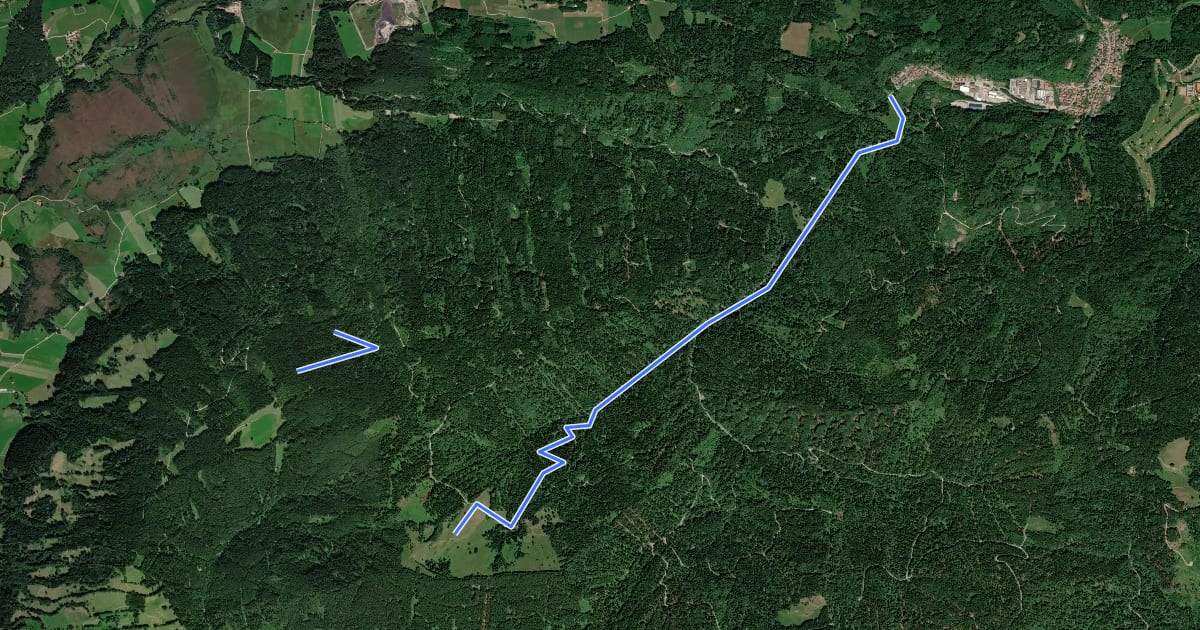 Маршрут Wanderweg 602 на спутниковом снимке