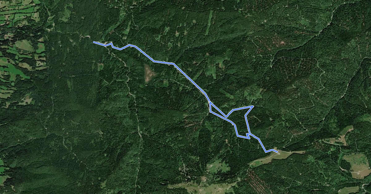 Маршрут Wanderweg 603 - Bayerische Voralpen на спутниковом снимке