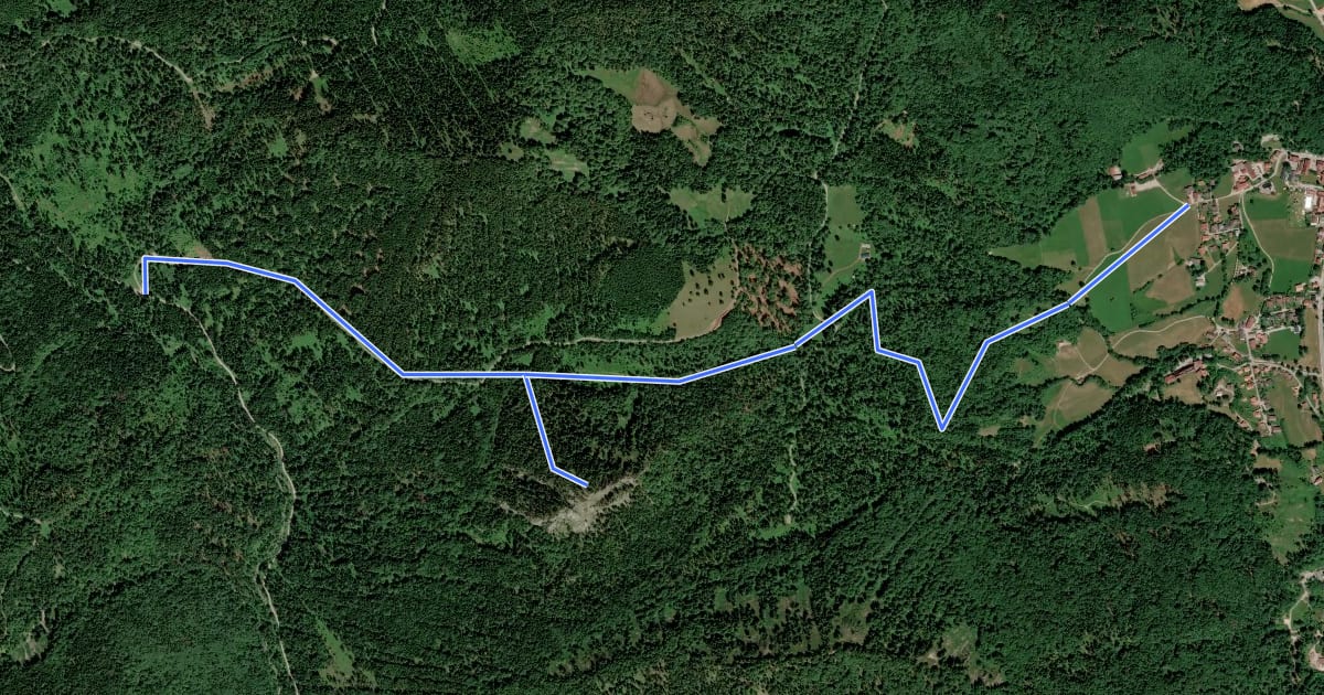 Маршрут Wanderweg 608 на спутниковом снимке