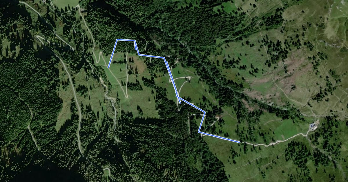 Маршрут Wanderweg 60a на спутниковом снимке