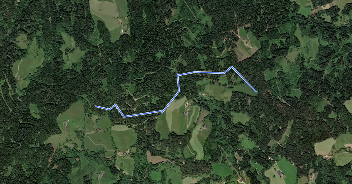 Маршрут Wanderweg 60A на спутниковом снимке