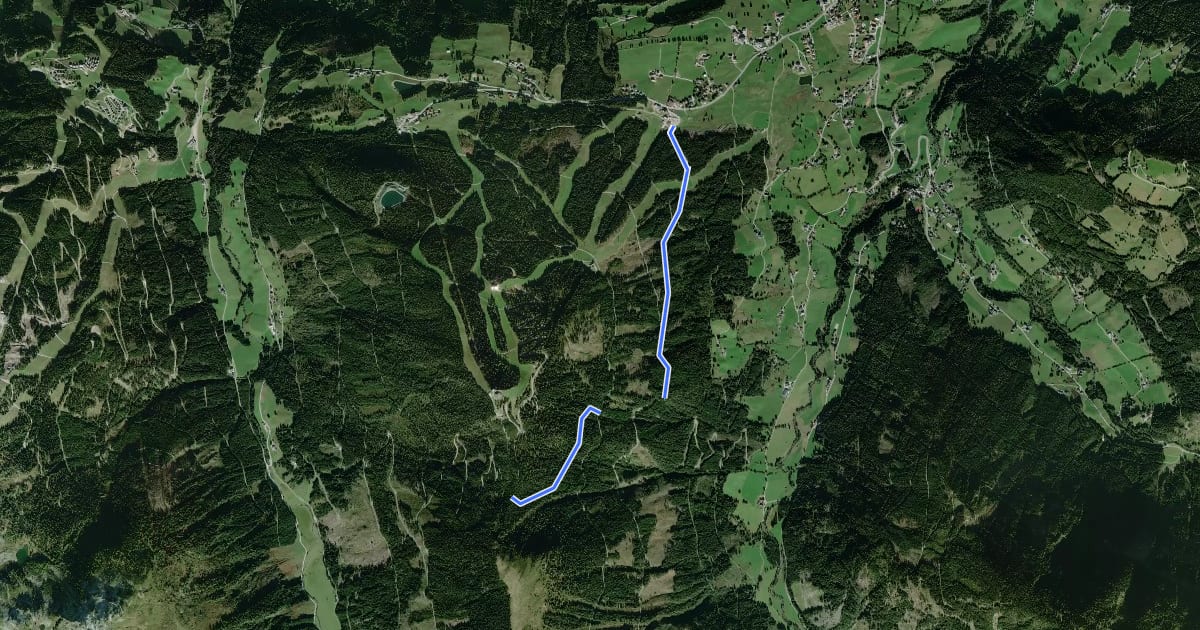 Маршрут Wanderweg 61 на спутниковом снимке