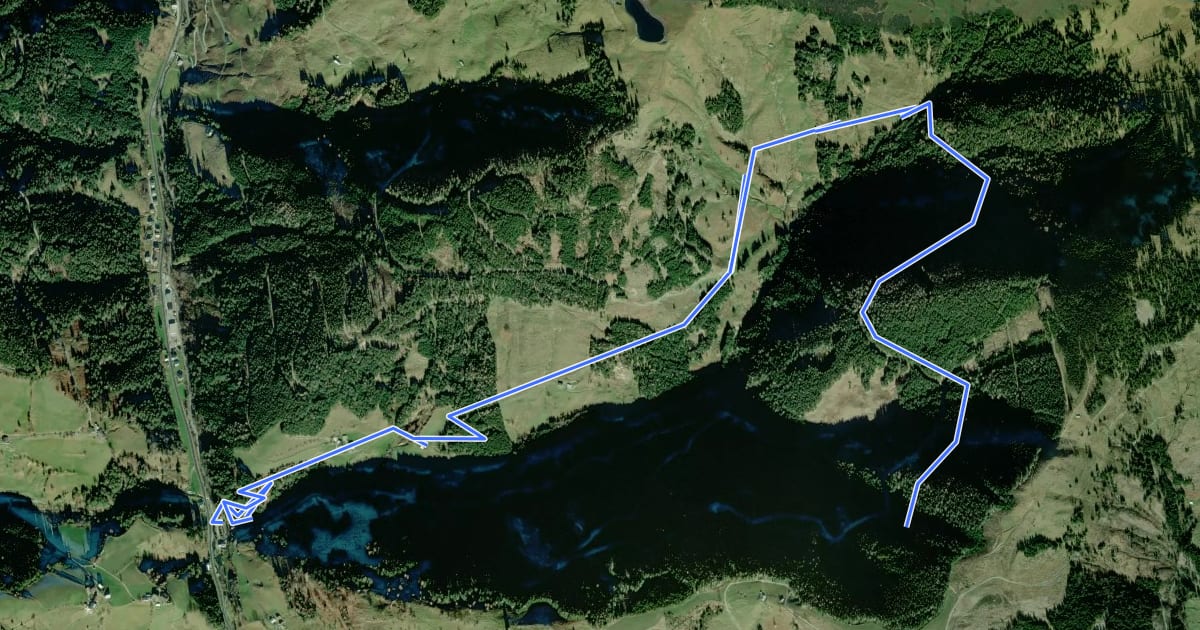 Маршрут Wanderweg 61 на спутниковом снимке