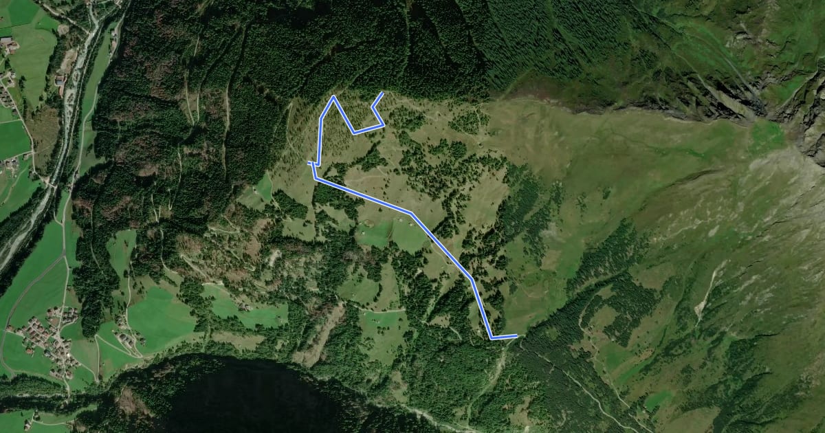 Маршрут Wanderweg 61 на спутниковом снимке