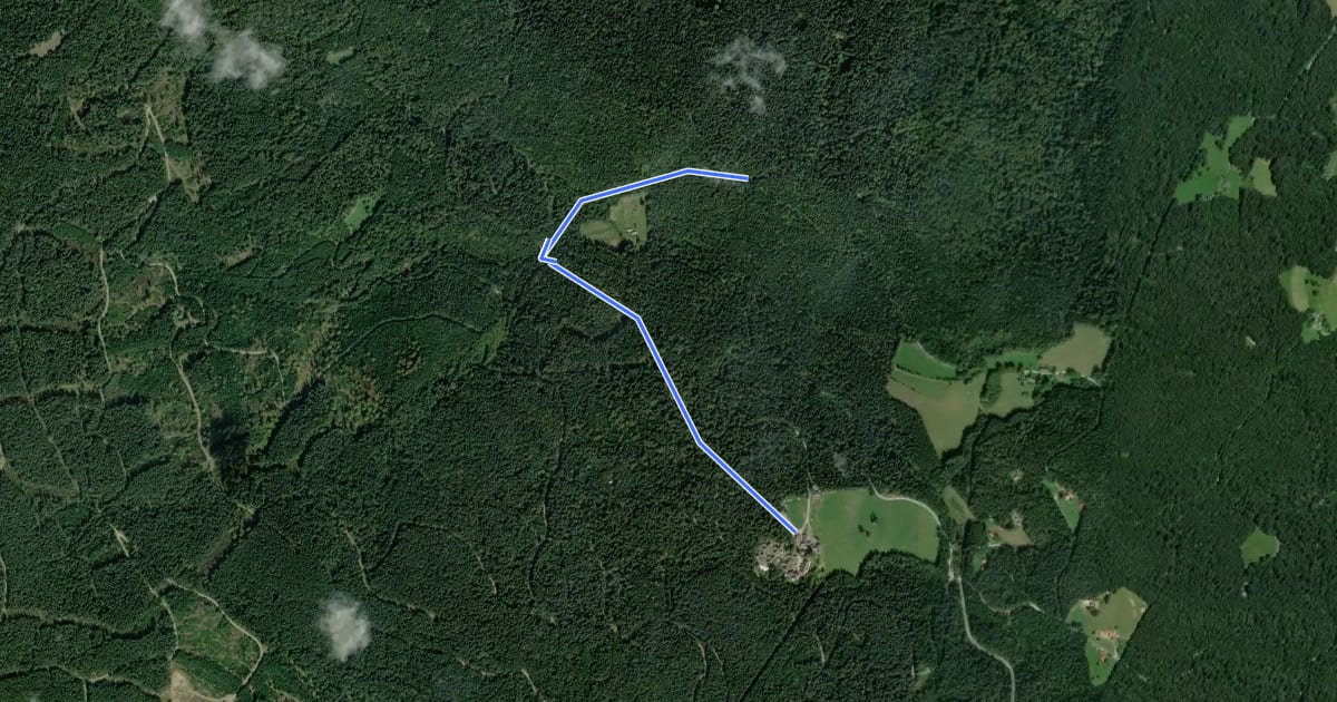 Маршрут Wanderweg 61 на спутниковом снимке