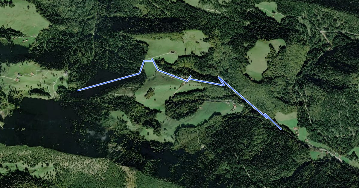 Маршрут Wanderweg 61 - Hochfelln на спутниковом снимке