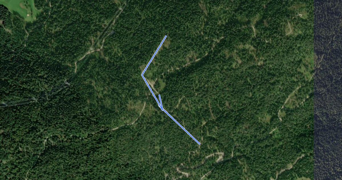 Маршрут Wanderweg 61 (rot) на спутниковом снимке