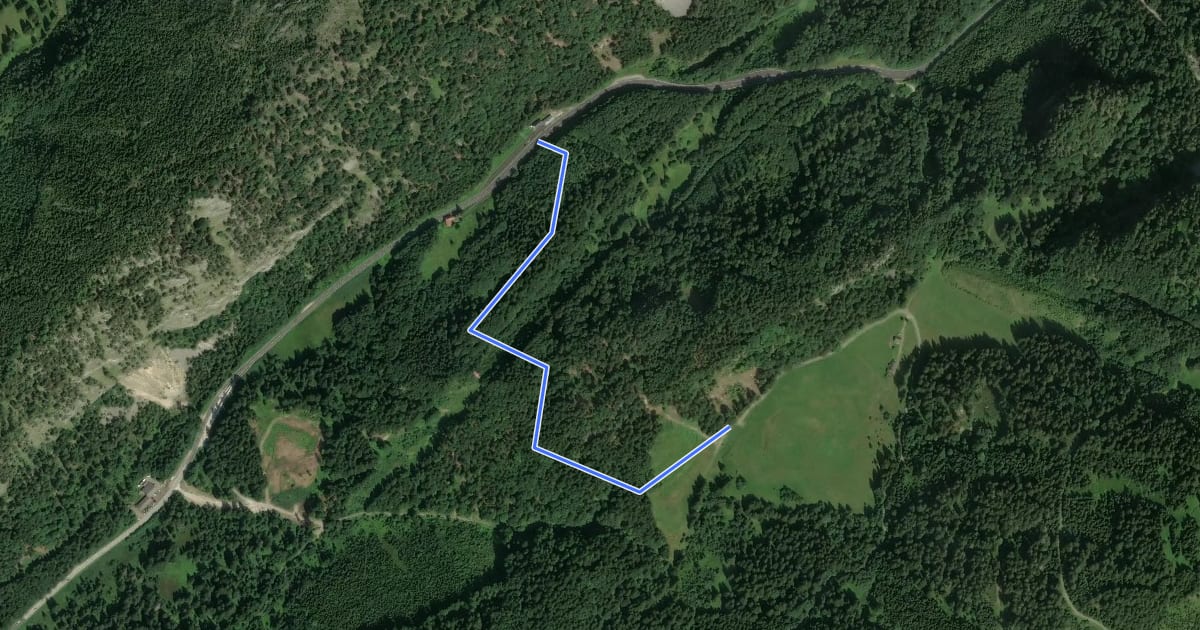 Маршрут Wanderweg 611 на спутниковом снимке