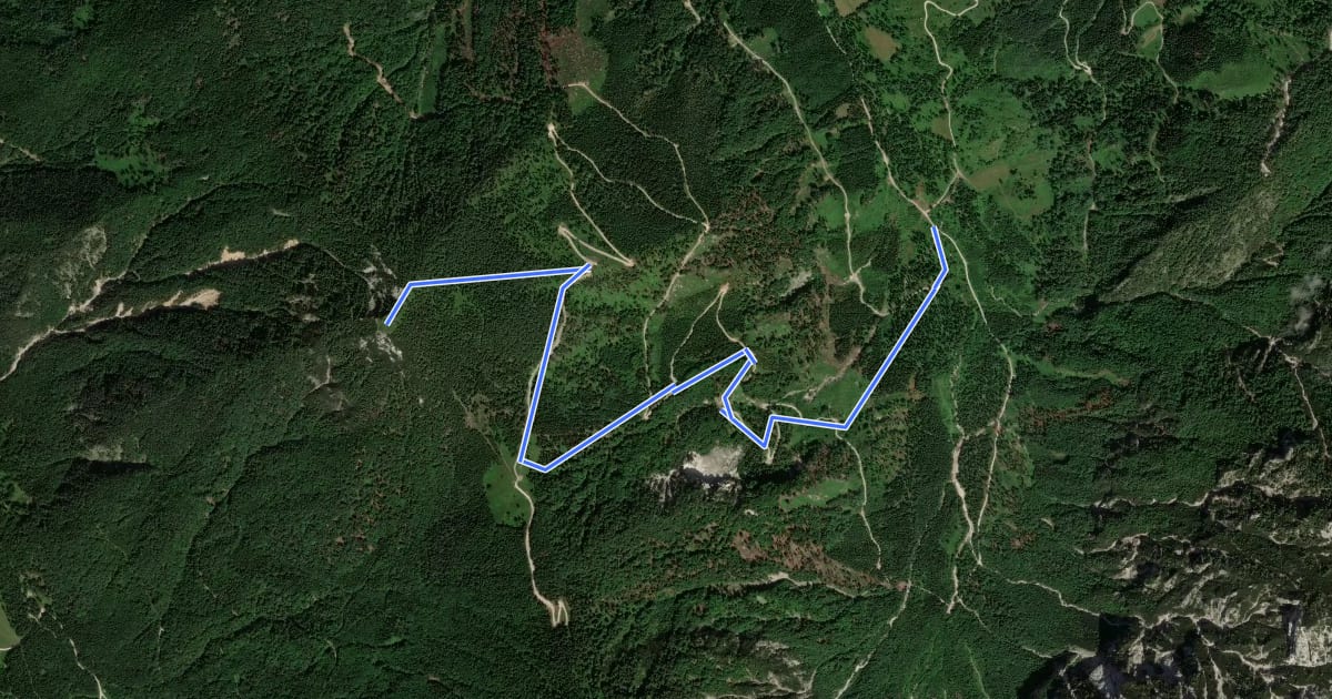 Маршрут Wanderweg 615 на спутниковом снимке