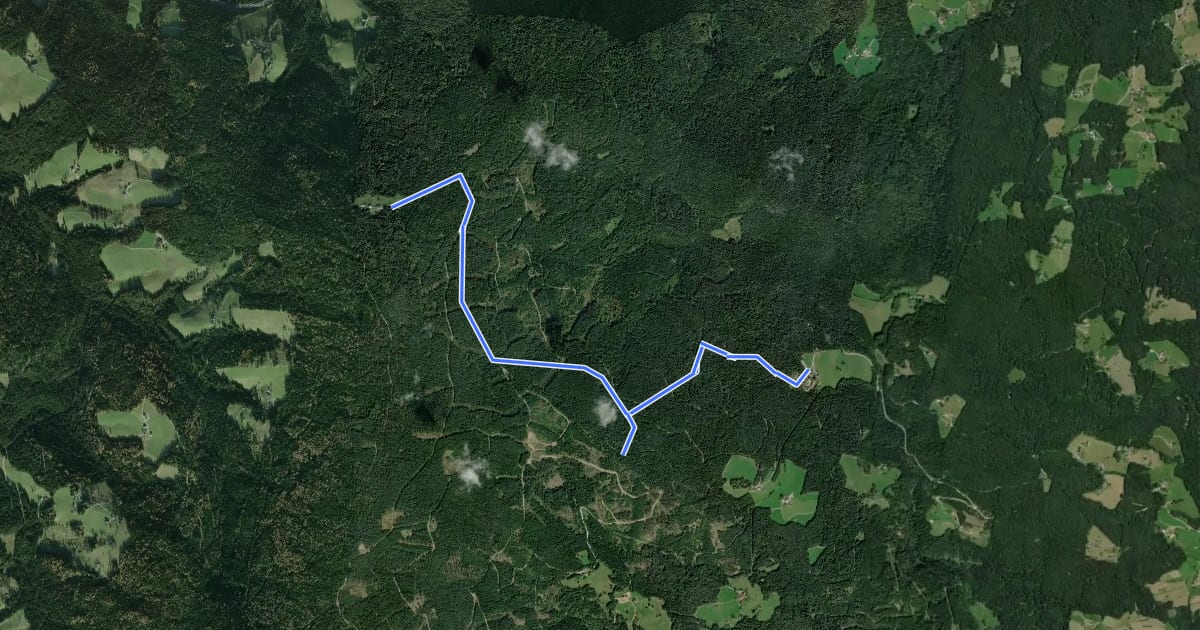 Маршрут Wanderweg 62 на спутниковом снимке