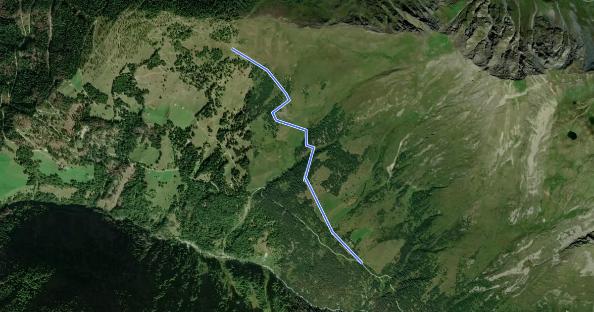 Маршрут Wanderweg 62 на спутниковом снимке