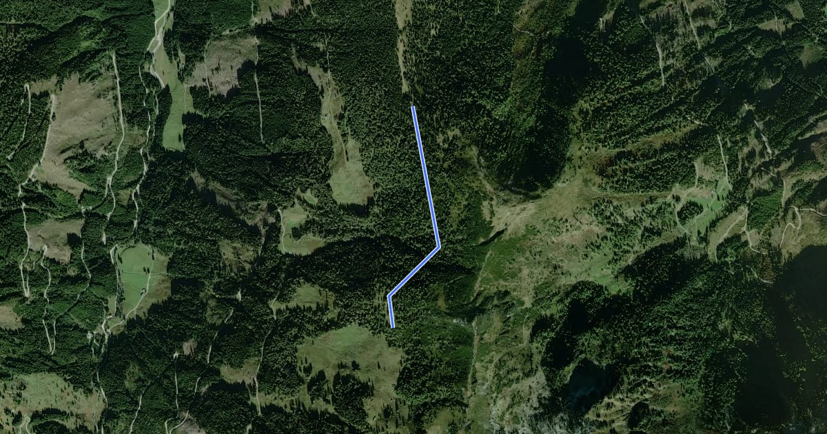 Маршрут Wanderweg 62 на спутниковом снимке