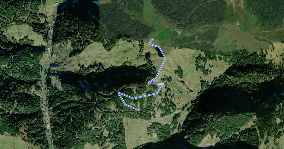 Маршрут Wanderweg 62b на спутниковом снимке