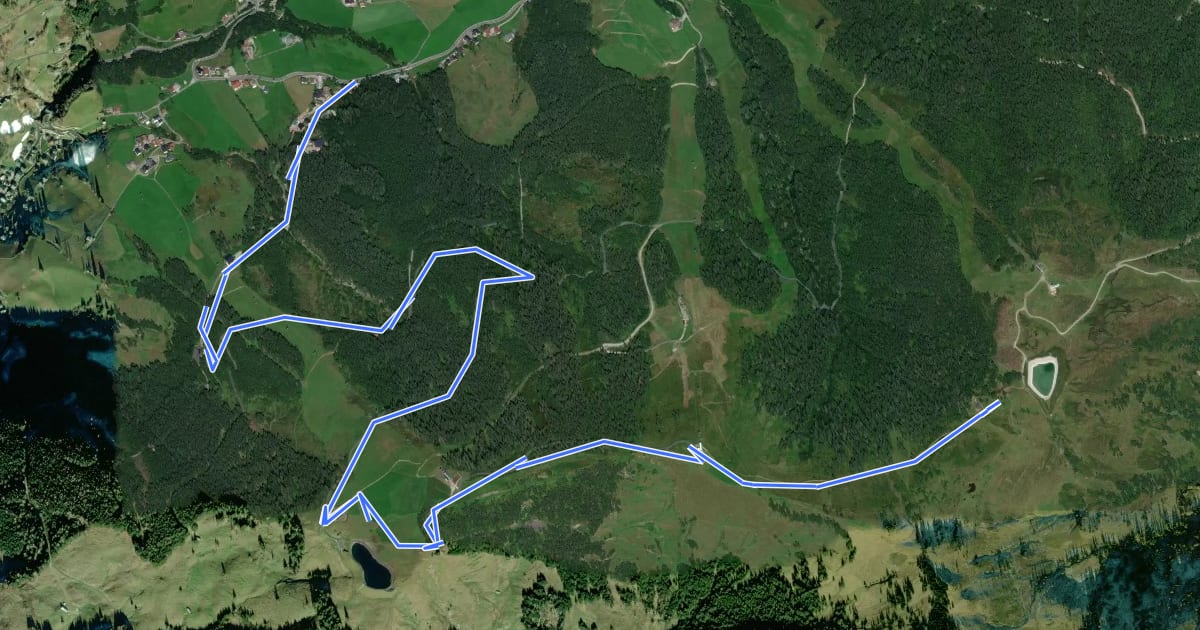 Маршрут Wanderweg 63 на спутниковом снимке